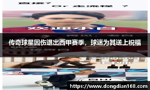 必博Bibo