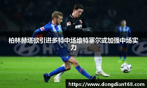 必博Bibo