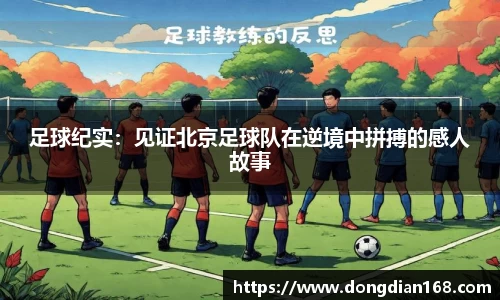 Bibo必博