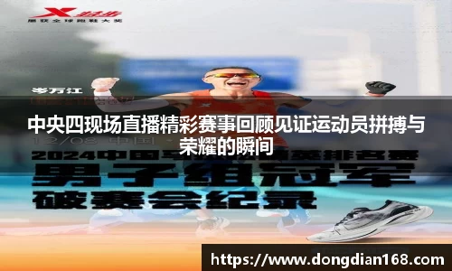 Bibo必博