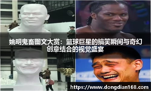 Bibo必博