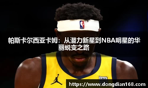Bibo必博