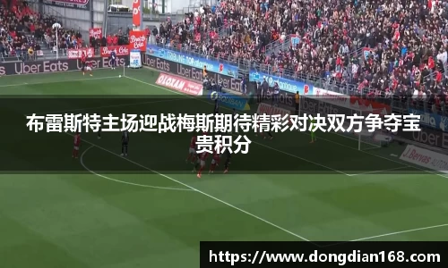 Bibo必博