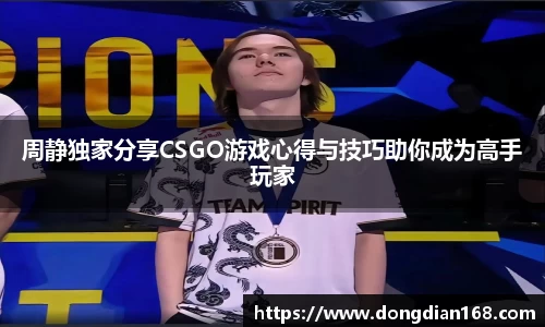Bibo必博