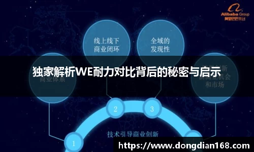独家解析WE耐力对比背后的秘密与启示