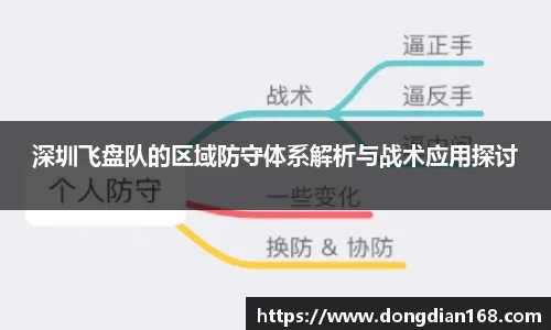 深圳飞盘队的区域防守体系解析与战术应用探讨