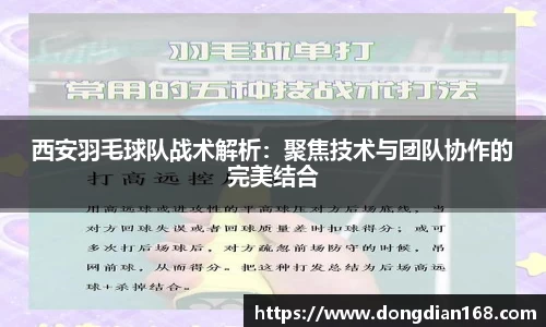 必博Bibo